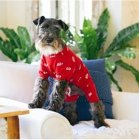 Barkie İzmir Gap Köpek Pijama