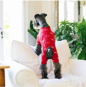 Barkie İzmir Gap Köpek Pijama görsel 2