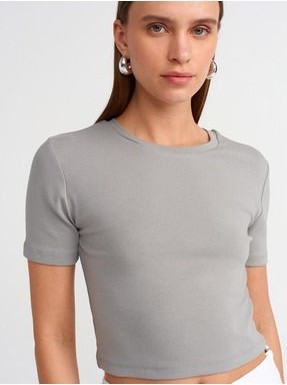 Dilvin 30124 Crop T-Shirt-Gri görsel 4