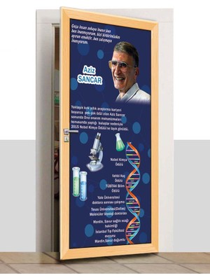 Sınıf Sepeti Kapı Giydirme - Aziz Sancar - K1050