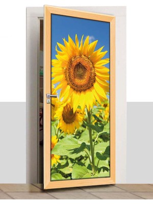 Sınıf Sepeti Kapı Giydirme - Doğa - K503