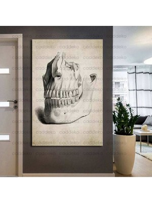 Caddeko Ağız ve Diş Polikliniği, Dişçi Tabloları Dekoratif Diş, Dekoratif Dişçi, Dişçi Dekorasyonu DSC361