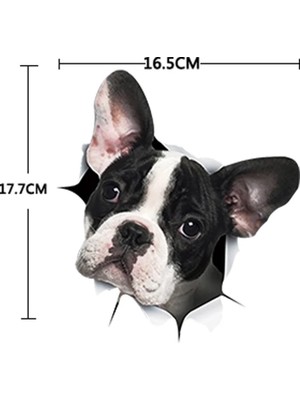 Qiuhong Shop 3 Açık Gri Tarzı Yeni Kedi Köpek 3D Duvar Sticker Banyo Tuvalet Çocuk Odası Dekorasyon Duvar Çıkartmaları Hayvan Sticker Buzdolabı Su Geçirmez Poster (Yurt Dışından)