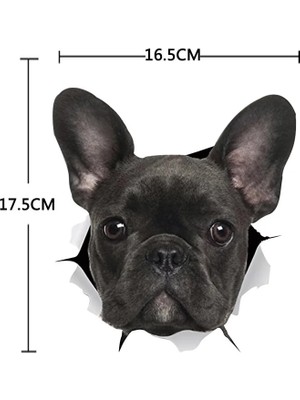 Qiuhong Shop 3 Açık Gri Tarzı Yeni Kedi Köpek 3D Duvar Sticker Banyo Tuvalet Çocuk Odası Dekorasyon Duvar Çıkartmaları Hayvan Sticker Buzdolabı Su Geçirmez Poster (Yurt Dışından)