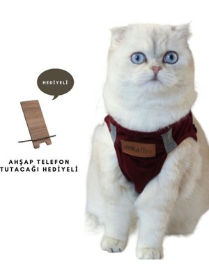 Ankaflex Kedi Göğüs Tasması Kedi Gezdirme Tasması Kediler Için