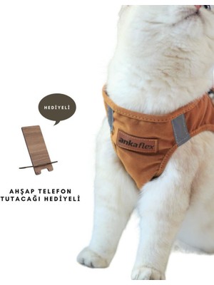 Ankaflex Kedi Göğüs Tasması Kedi Gezdirme Tasması Kediler Için