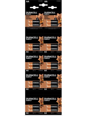 Dorasan Duracell Kalem Pil Alkalin 20 Parça