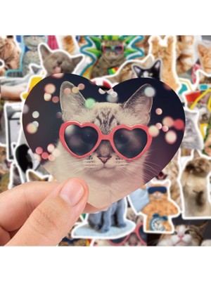 Hediyene Bak Sevimli Kediler Laptop Notebook Tablet Sticker Seti