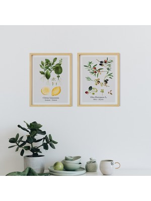 Ayışığı Dizayn Mutfak Vintage Zeytin Limon Lemon Olive Ahşap Çerçeveli 2'li Tablo Seti