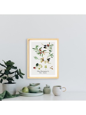 Ayışığı Dizayn Mutfak-Vintage Zeytin Doğal Ahşap Çerçeveli Tekli Tablo Seti