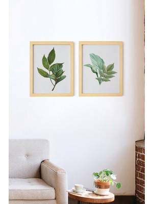Ayışığı Dizayn Bohem & Iskandinav Botanical Leaf Doğal Ahşap Çerçeveli 2'li Tablo Seti