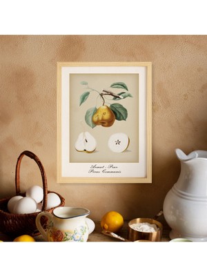 Ayışığı Dizayn Mutfak Vintage Fruits Armut-Pear Doğal Ahşap Çerçeveli Poster Tekli Dekor Duvar Tablo Seti