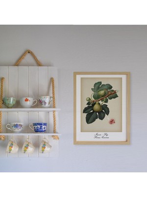 Ayışığı Dizayn Mutfak Vintage Fruits Fruits Incir-Fig Ahşap Çerçeveli Poster Tekli Dekor Duvar Tablo Seti