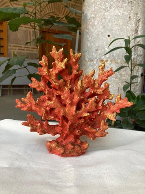 Wowo.craft Küçük Deniz Mercan