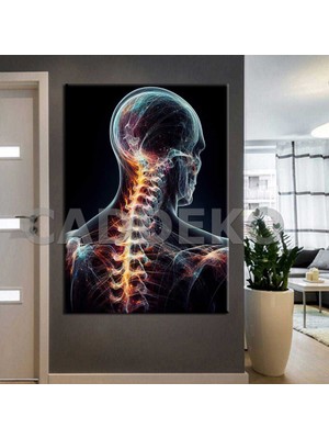 Caddeko Poliklinik Klinik Hastane Dekorasyonu Medikal Hastane Tabloları HST130