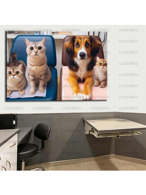 Caddeko Pet Center Dekorasyon Veteriner Kliniği Tabloları VTR22