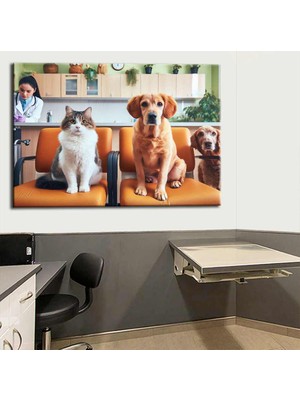 Caddeko Pet Center Dekorasyon Veteriner Kliniği Tabloları VTR24
