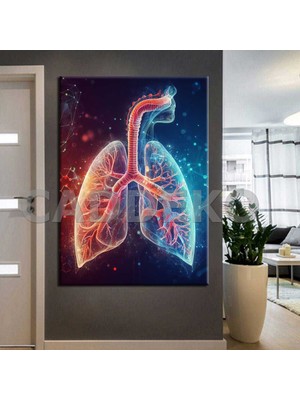 Caddeko Poliklinik Klinik Hastane Dekorasyonu Medikal Hastane Tabloları HST143