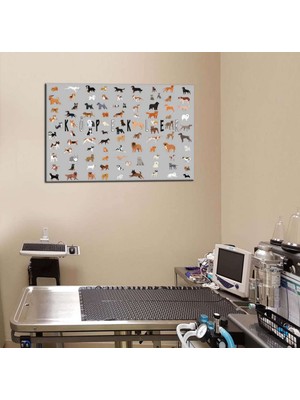 Caddeko Veteriner Tabloları, Pet Center, Evcil Dostlarımız Kedi ve Köpek Tabloları VTR19
