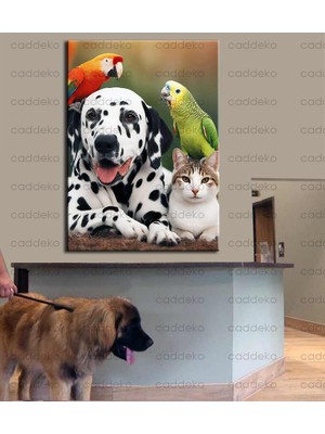Caddeko Pet Center Dekorasyon Veteriner Kliniği Tabloları VTR28