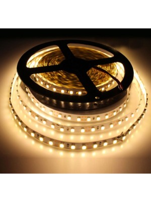 Cata CT4481 10 Çip Şerit LED Iç Mekan 5 mt Günışığı CT-4481