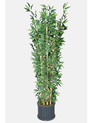 Yapay Çiçek Deposu Oval Çıtalı Saksıda Yapay Bambu Ağacı 8 Çubuklu 180 cm