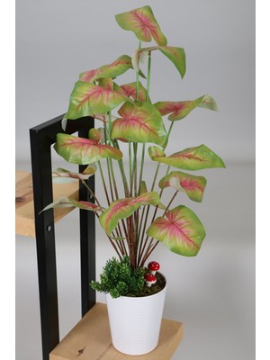 Yapay Çiçek Deposu Dekoratif Beyaz Mika Saksıda Kaladyum (Caladium) Bitki Tanzimi 70 cm Yeşil Pembe
