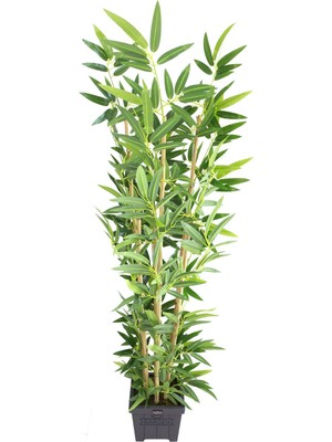 Yapay Çiçek Deposu Yapay Bambu Ağacı Premium Kalite 170CM 6 Gövdeli Ahşap Saksılı Antrasit Mavi