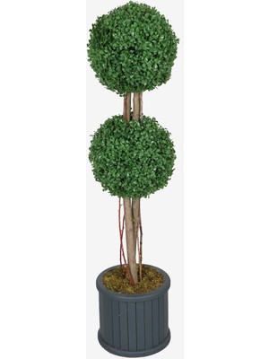 Yapay Çiçek Deposu Oval Çıtalı Saksıda Yapay 2 Katlı Şimşir Ağacı 110 cm