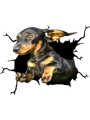 Qiuhong Shop 3 No.6 Tarzı Köpek Çatlak Araba Sticker Yaratıcı Ev Araba Duvar Pencereleri Dekorasyon Çıkartması Pitbull Dachshund Husky Çatlak Tuvalet Buzdolabı Çıkartmaları (Yurt Dışından)