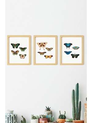 Ayışığı Dizayn Vintage Doğal Ahşap Çerçeveli 3'lü Tablo Seti