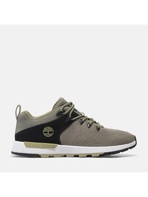 Timberland Low Lace Up Sneaker Erkek Bej Günlük Ayakkabı Tb0A6Abrex11