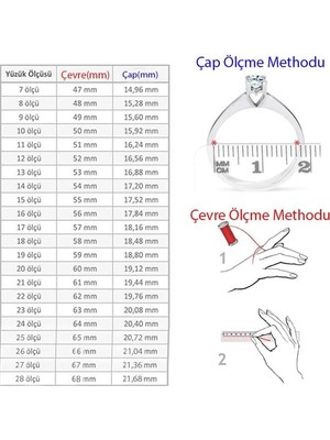 Taja Erkek Yüzük Gümüş 925 Ayar Zirkon Taşlı