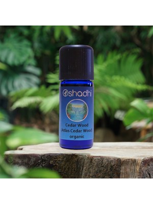 Oshadhi Sedir Yağı (Himalaya Sediri) / Himalaya Cedar (10ML)