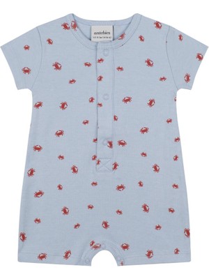 Yengeç Ailesi Kısa Kollu Barbatöz