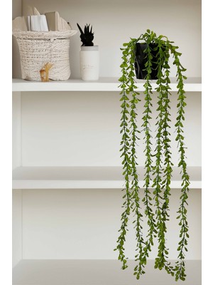 Lilac Home Yapay Çiçek 70 cm Kuzu Kulağı (Elodea) Bitkisi