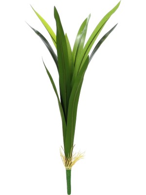 Dekorsende Yapay Dracena Demeti 60 cm