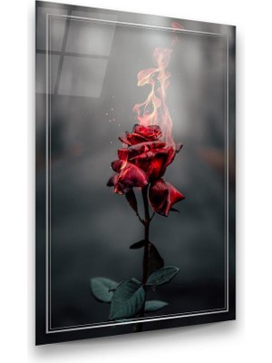 Glass Art Alev ve Kırmızı Gül Dikey Cam Tablo