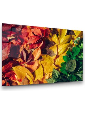 Glass Art Renkli Yapraklar Yatay Cam Tablo