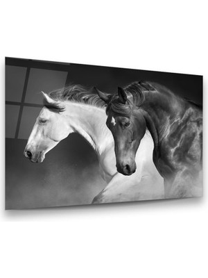 Glass Art Beyaz ve Siyah At Yatay Cam Tablo