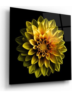 Glass Art Sarı Çiçek Kare Cam Tablo