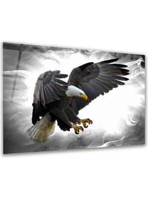 Glass Art Kartal Yatay Cam Tablo