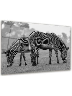 Glass Art Zebra Yatay Cam Tablo