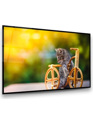 Glass Art Yavru Kedi Yatay Cam Tablo