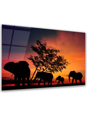 Glass Art Fil Ailesi Yatay Cam Tablo