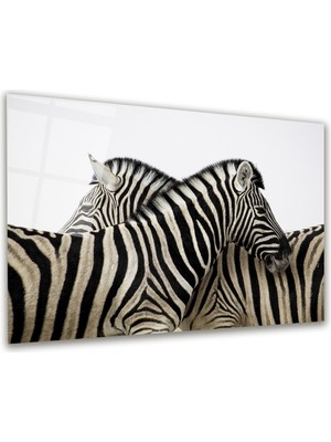 Glass Art Zebra Yatay Cam Tablo