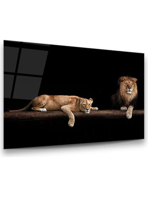 Glass Art Dişi ve Erkek Aslan Yatay Cam Tablo