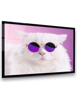 Glass Art Gözlüklü Kedi Yatay Cam Tablo