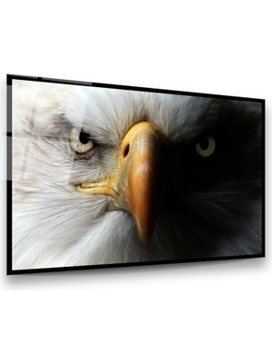 Glass Art Kartal Yüzü Yatay Cam Tablo