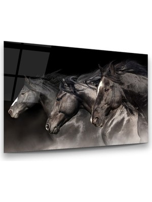 Glass Art Atlar Yatay Cam Tablo